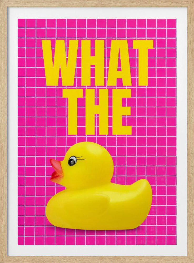 Eendenverrassing | Poster