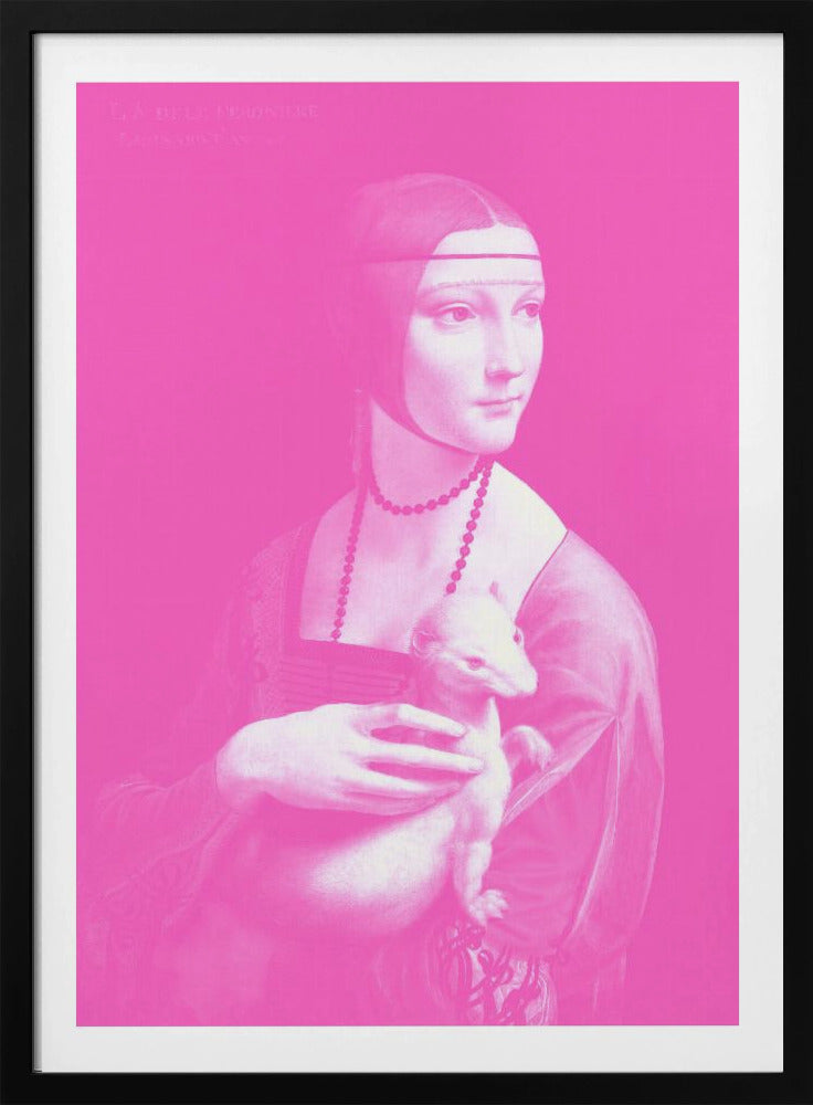 Renaissance in roze | Poster