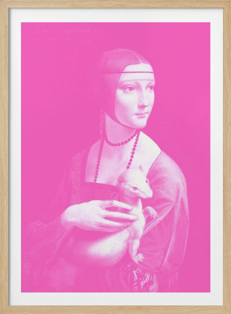 Renaissance in roze | Poster