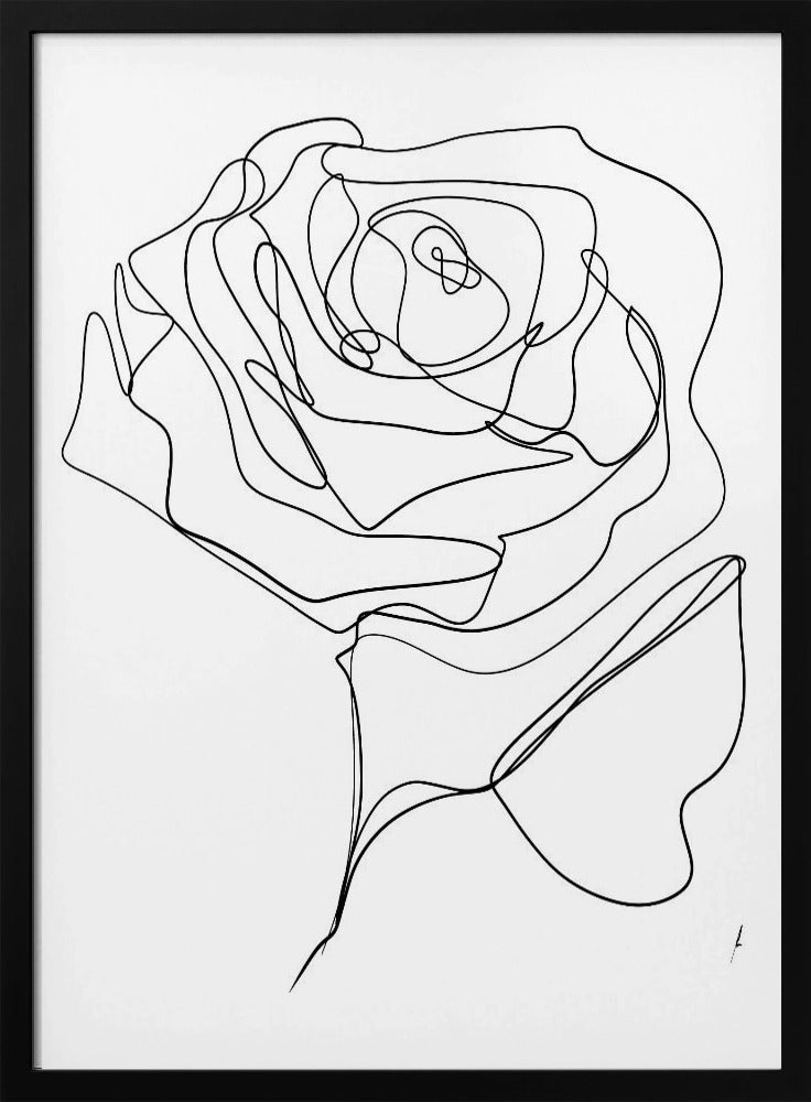 ROOS EENLIJN TEKENING | Poster