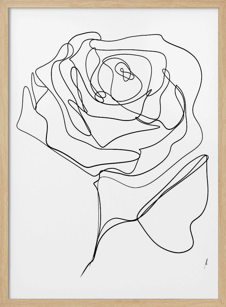 ROOS EENLIJN TEKENING | Poster
