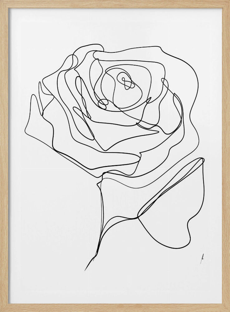 ROOS EENLIJN TEKENING | Poster