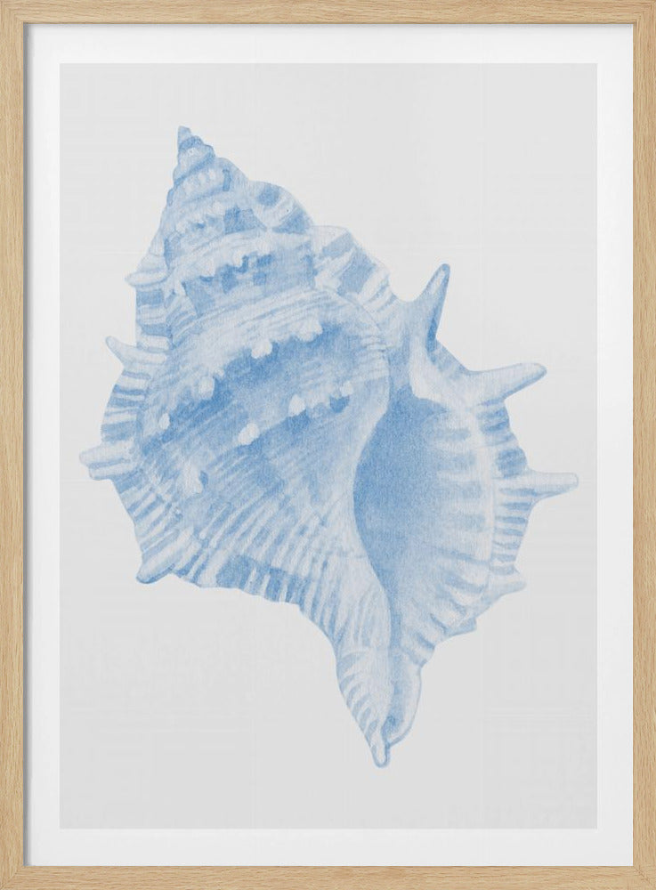 Een blauwe schelp | Poster