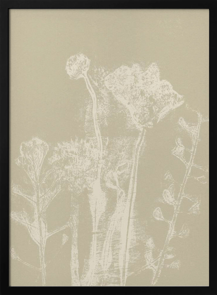 Abstracte bloemen. Witte weideplanten en bloemen op neutraal beige. | Poster