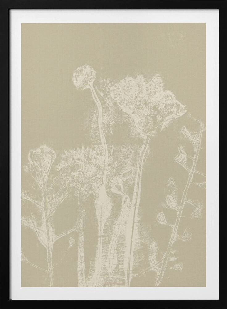 Abstracte bloemen. Witte weideplanten en bloemen op neutraal beige. | Poster