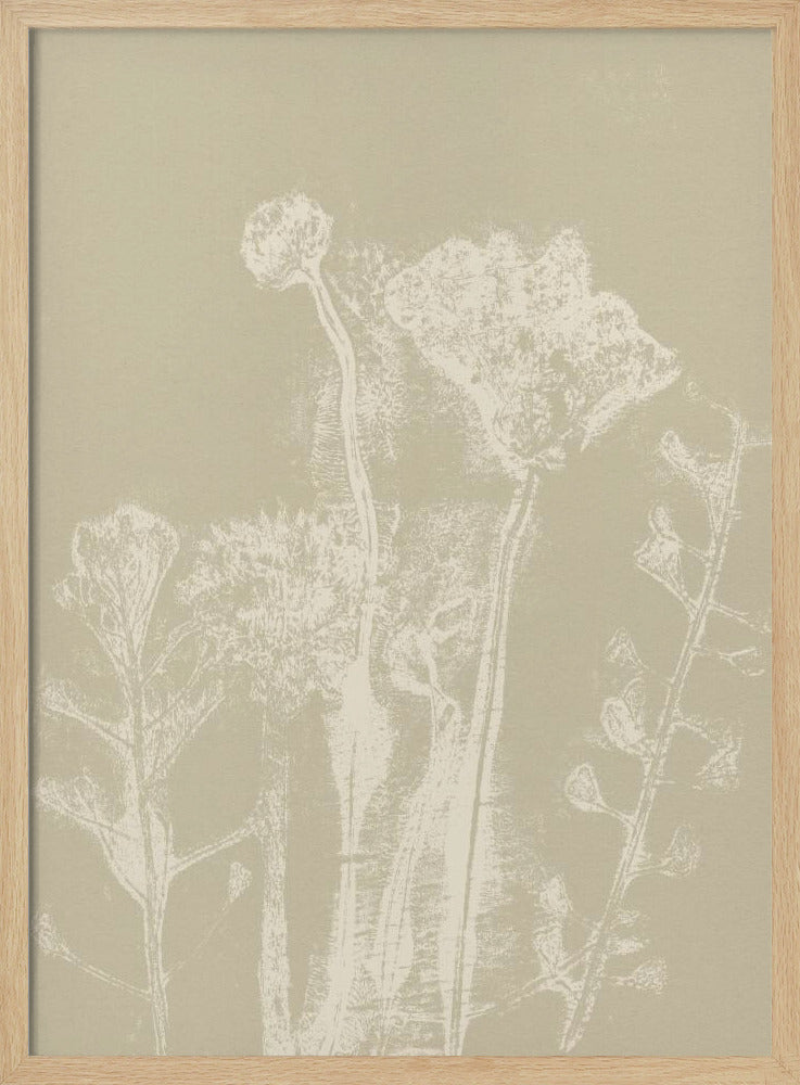 Abstracte bloemen. Witte weideplanten en bloemen op neutraal beige. | Poster