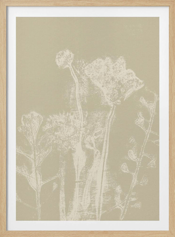 Abstracte bloemen. Witte weideplanten en bloemen op neutraal beige. | Poster