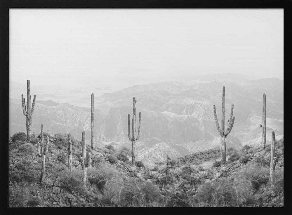 Westerse Cactus | Poster