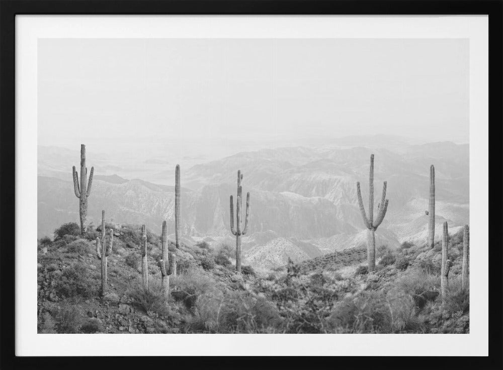 Westerse Cactus | Poster