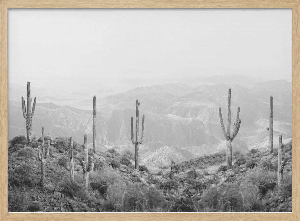 Westerse Cactus | Poster