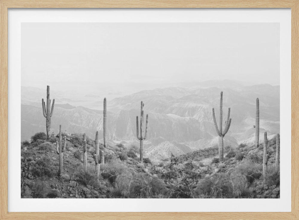 Westerse Cactus | Poster