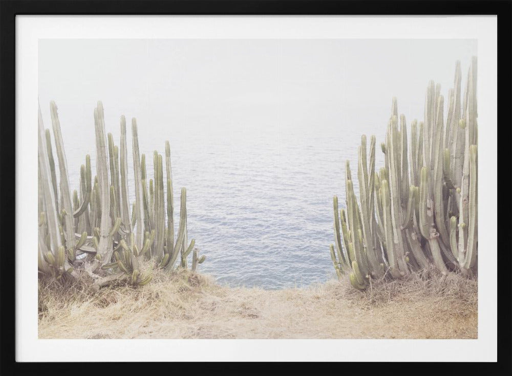 Oceaancactus | Poster