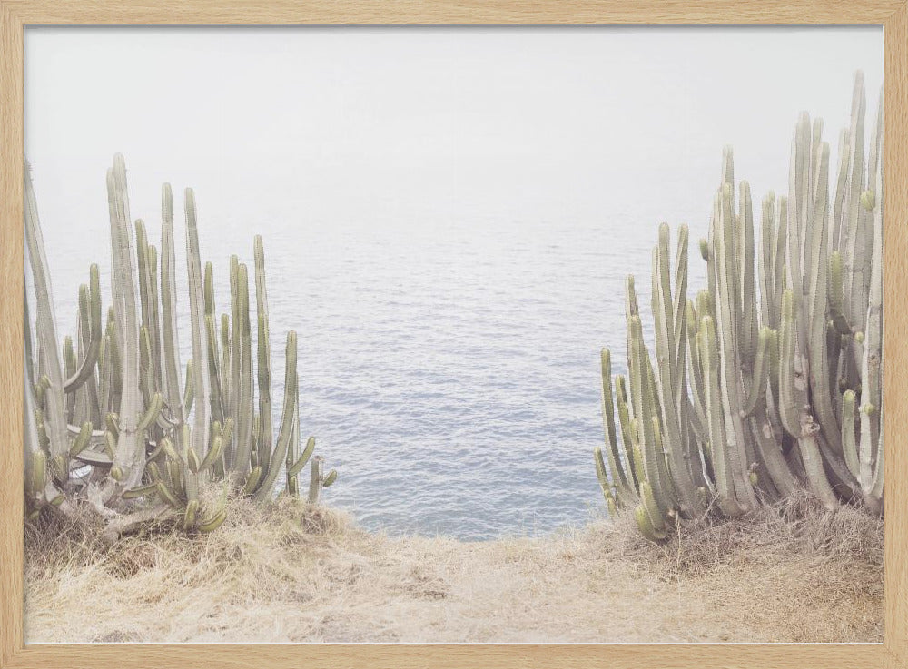 Oceaancactus | Poster