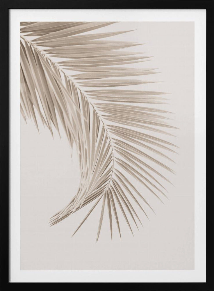 Bruin blad | Poster