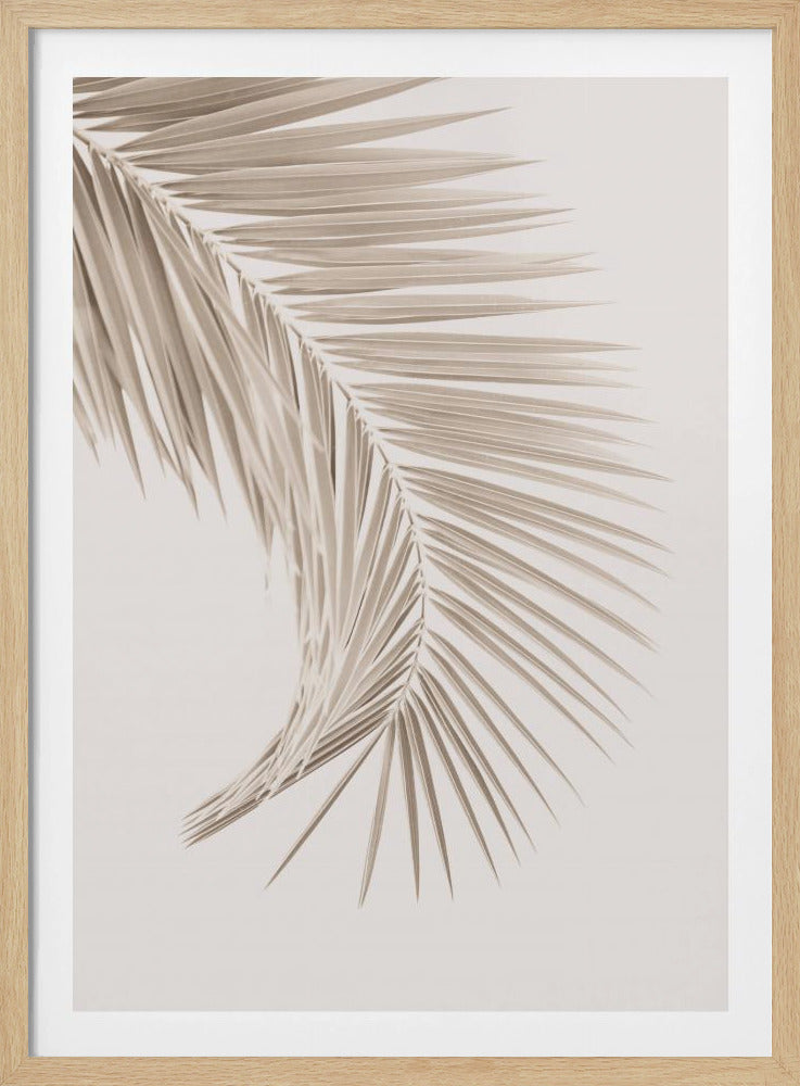 Bruin blad | Poster