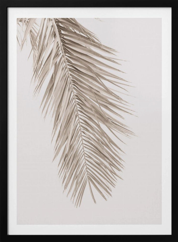 Tan Leaf 2 | Poster
