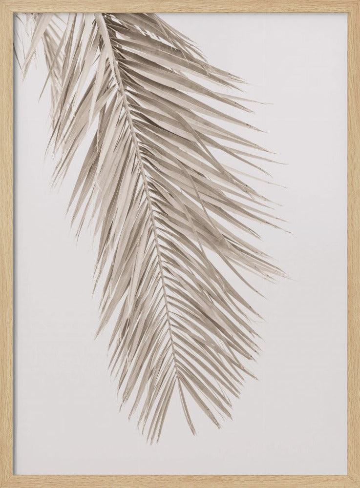 Tan Leaf 2 | Poster