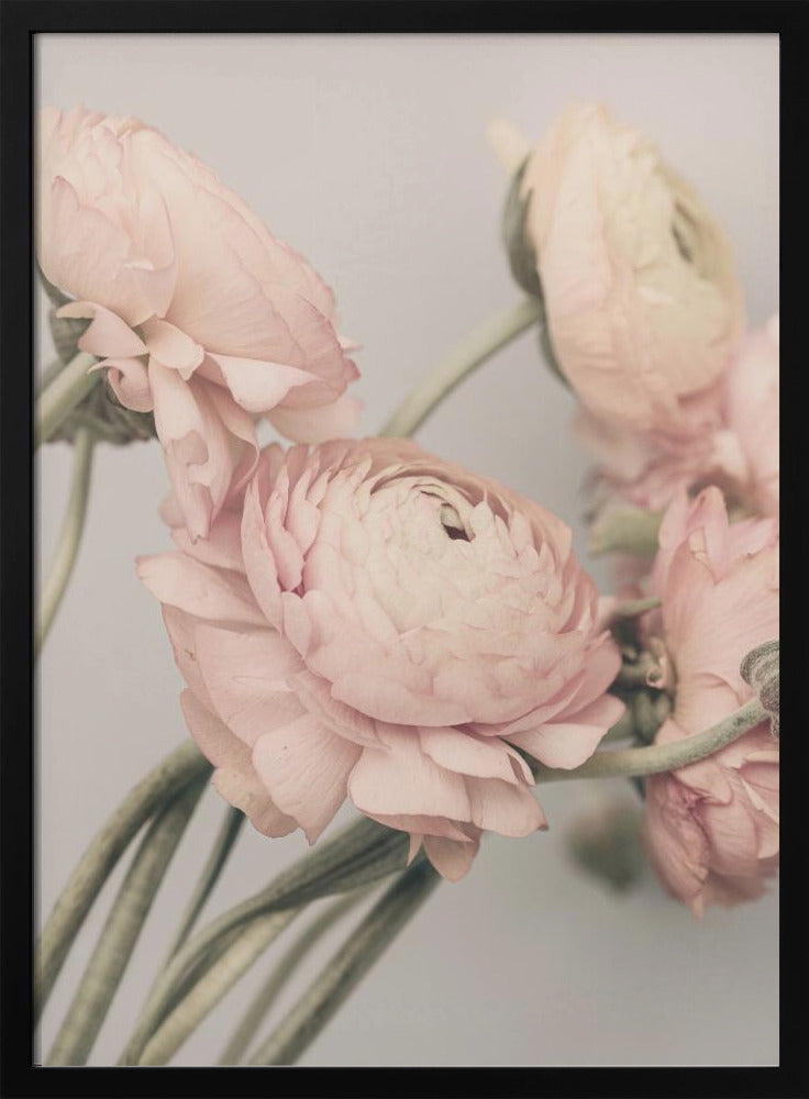 01644 | Poster