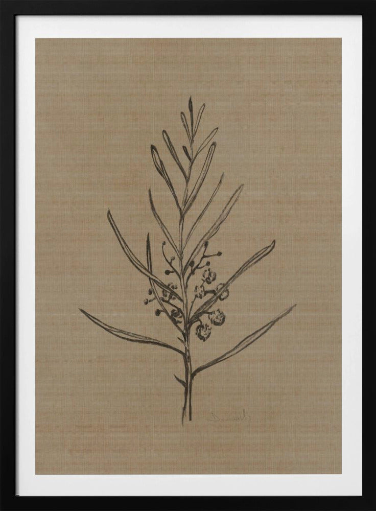 Blackwood Sapling | Poster