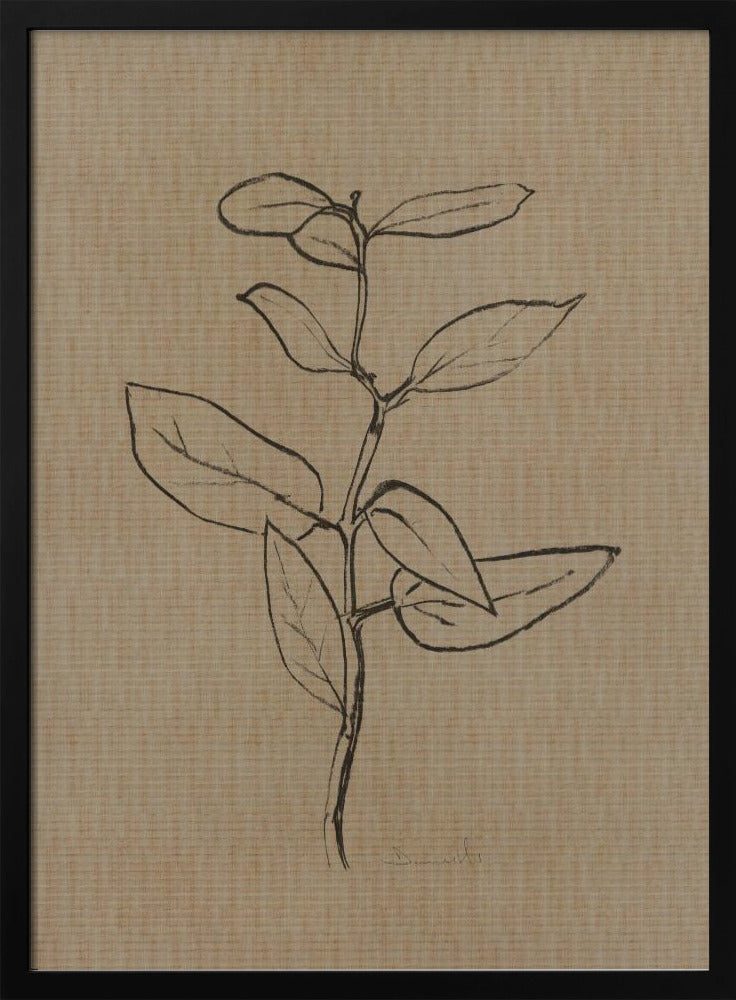 Eucalyptus Sapling | Poster
