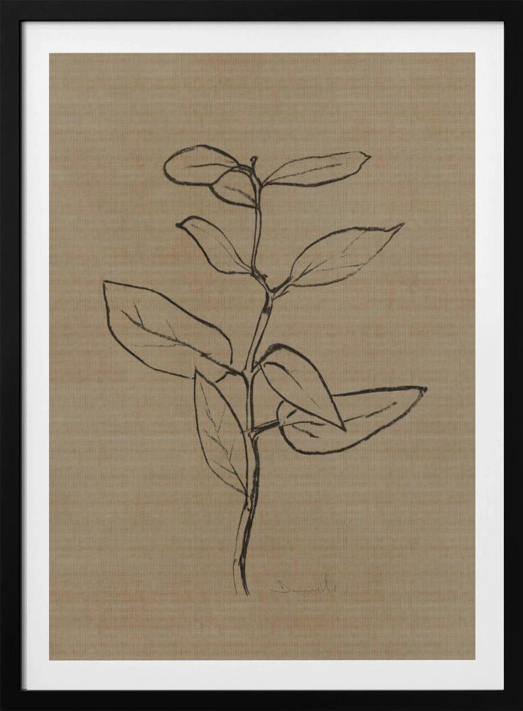 Eucalyptus Sapling | Poster