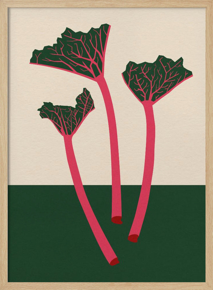 Zweedse tuinrabarber | Poster
