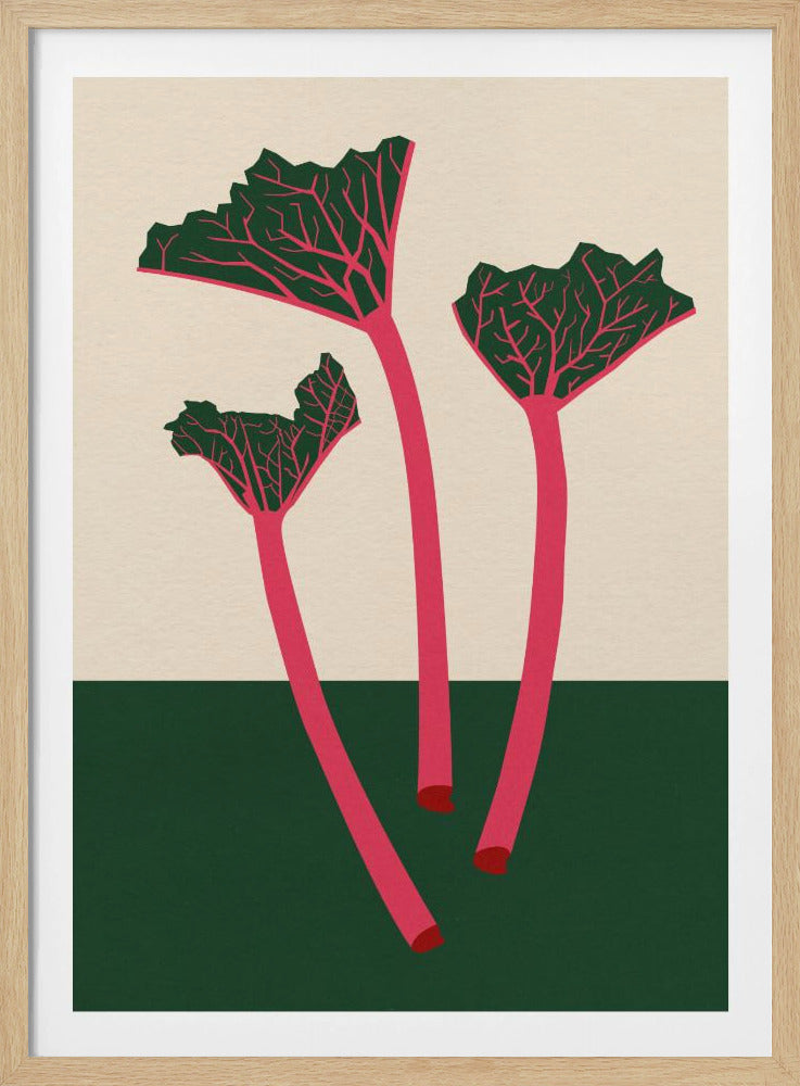 Zweedse tuinrabarber | Poster