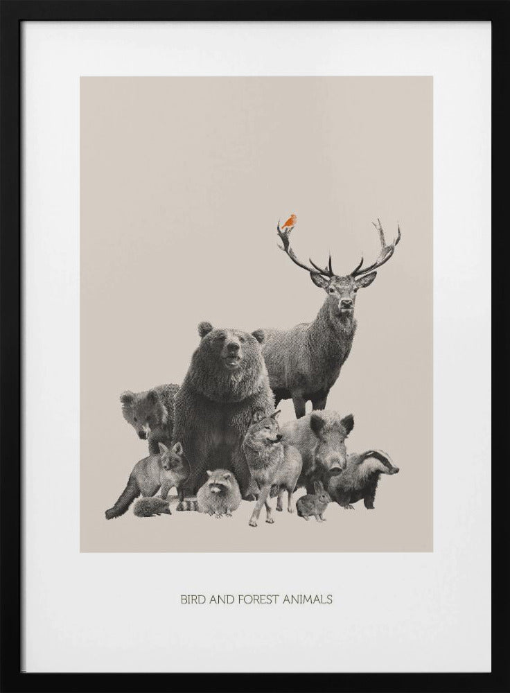 Vogels en bosdieren | Poster
