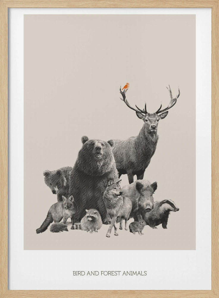 Vogels en bosdieren | Poster