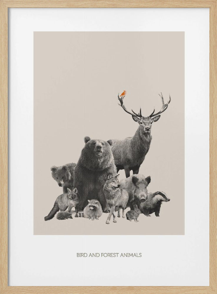 Vogels en bosdieren | Poster