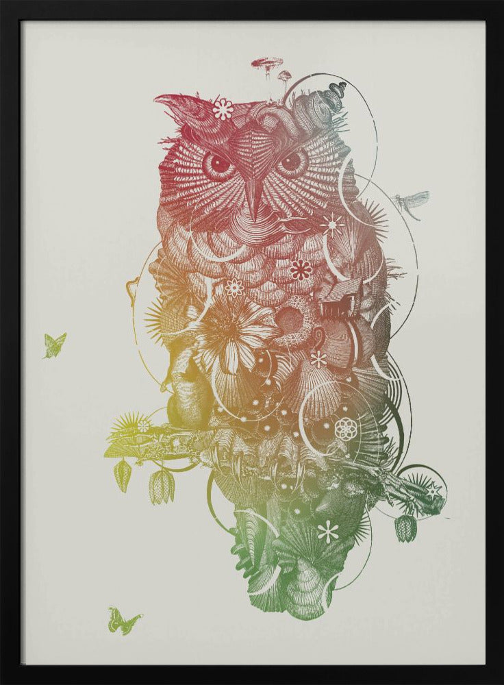 Uil | Poster