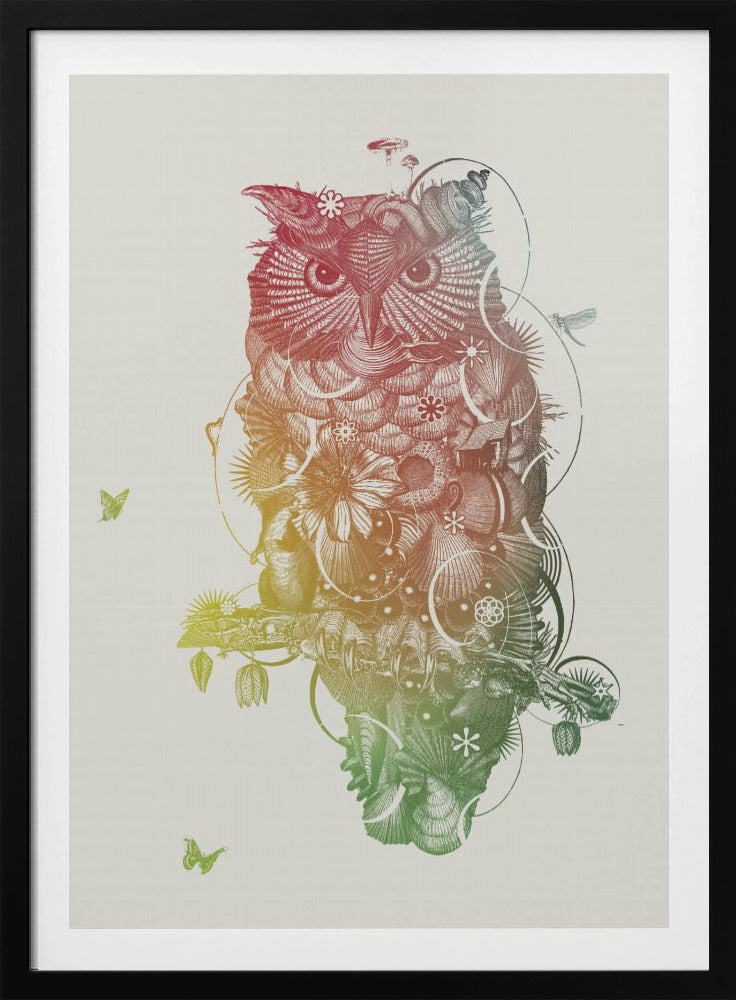 Uil | Poster