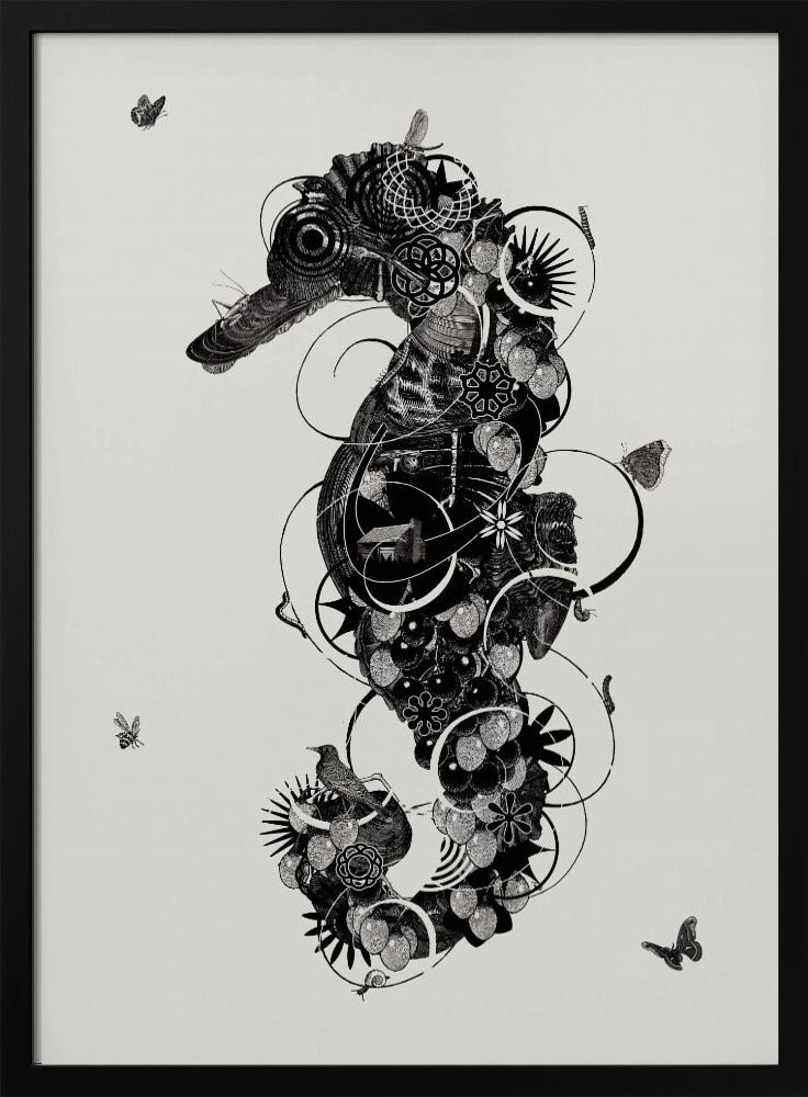 Zeepaardje | Poster