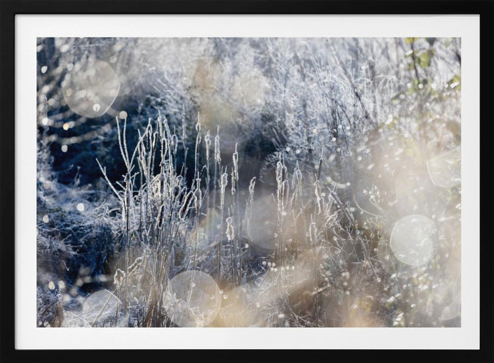 A Winter Morning 3 | Poster