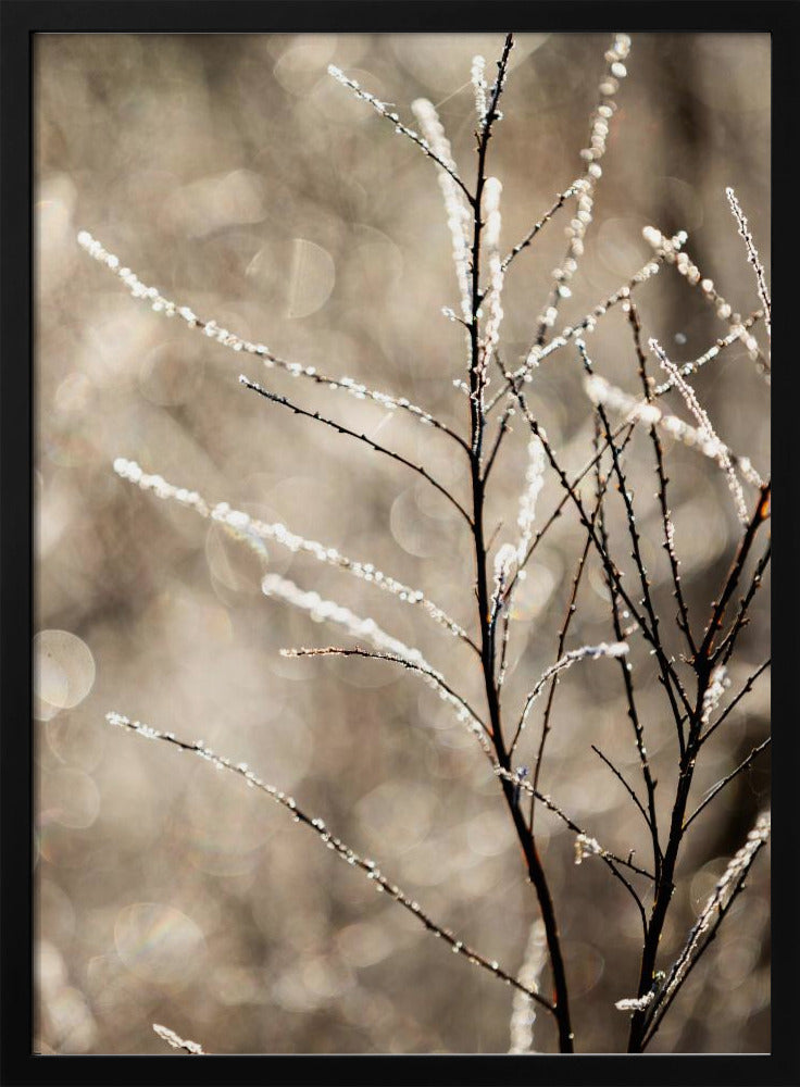 Een winterochtend 5 | Poster