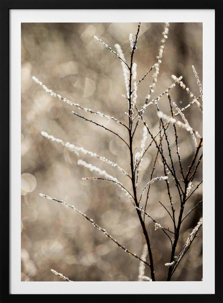 Een winterochtend 5 | Poster