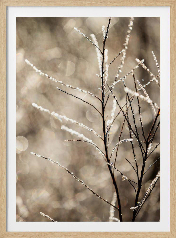 Een winterochtend 5 | Poster