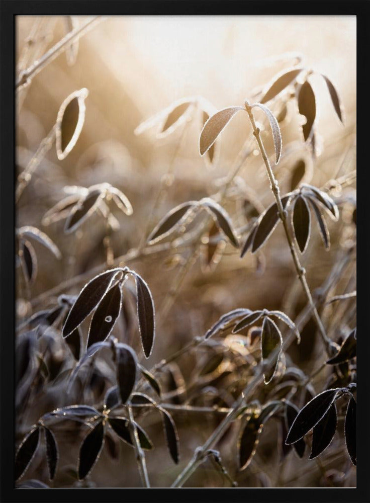Een winterochtend 6 | Poster