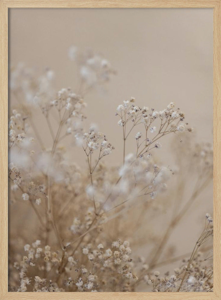 Baby's Breath 1 | Poster