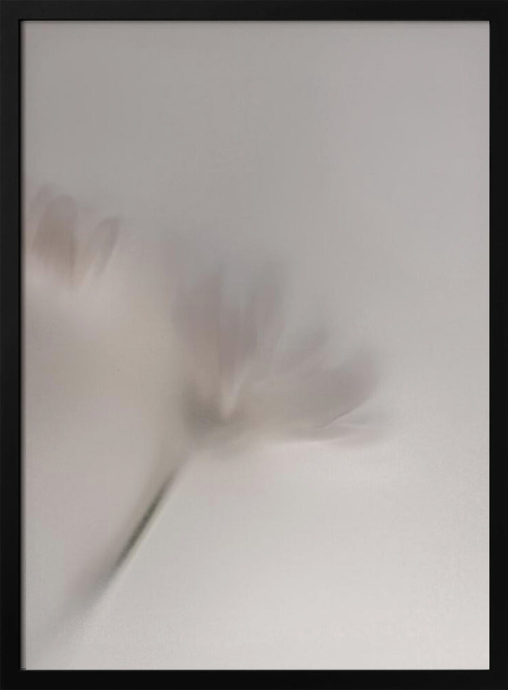 Vage bloemen 1 018a5454 | Poster