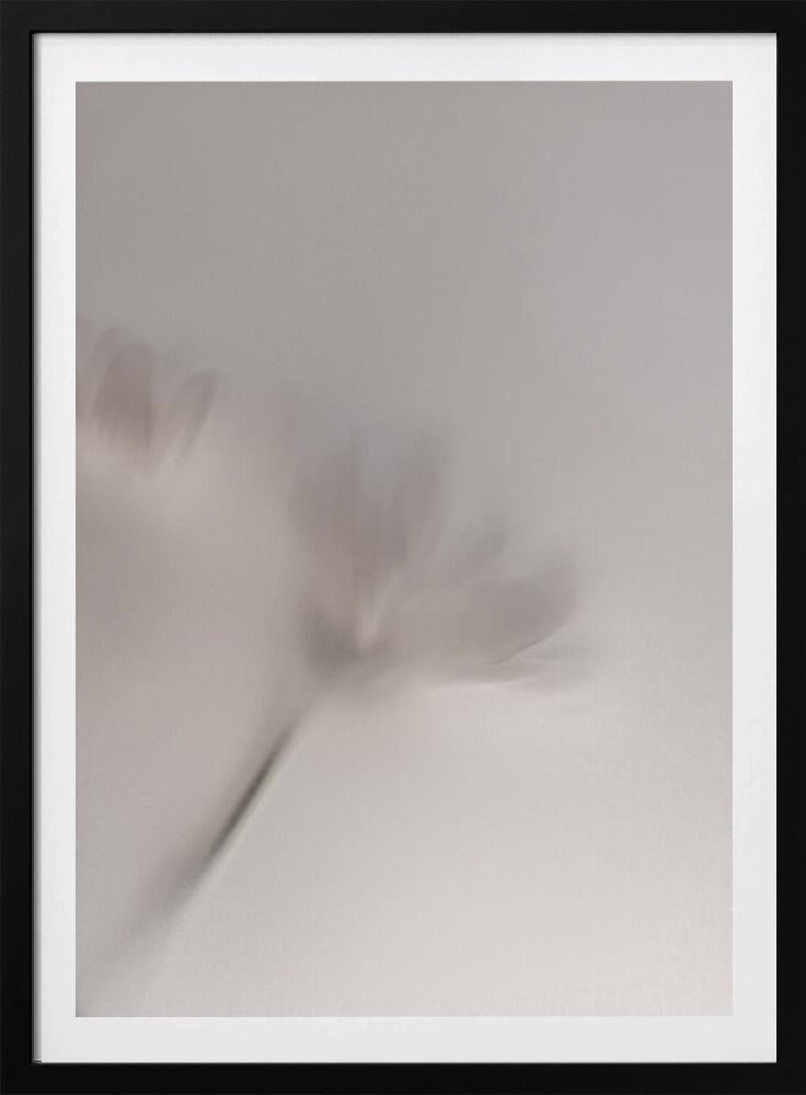 Vage bloemen 1 018a5454 | Poster