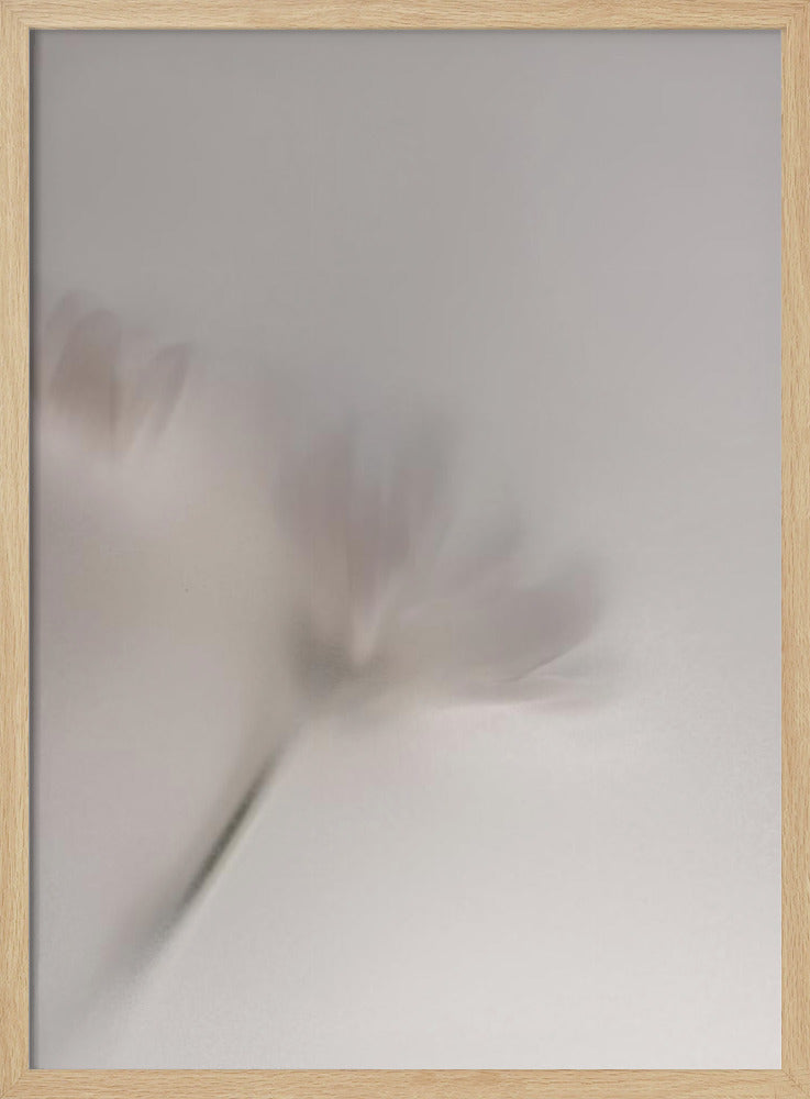 Vage bloemen 1 018a5454 | Poster