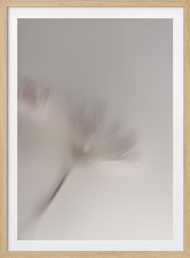 Vage bloemen 1 018a5454 | Poster