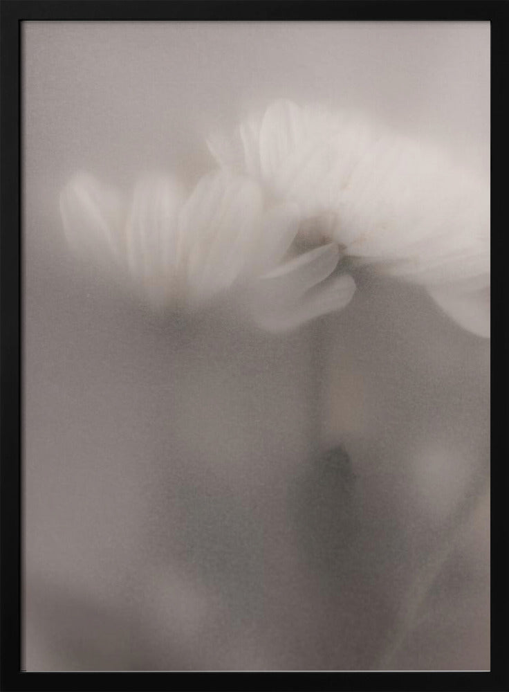 Vage bloemen 3 | Poster