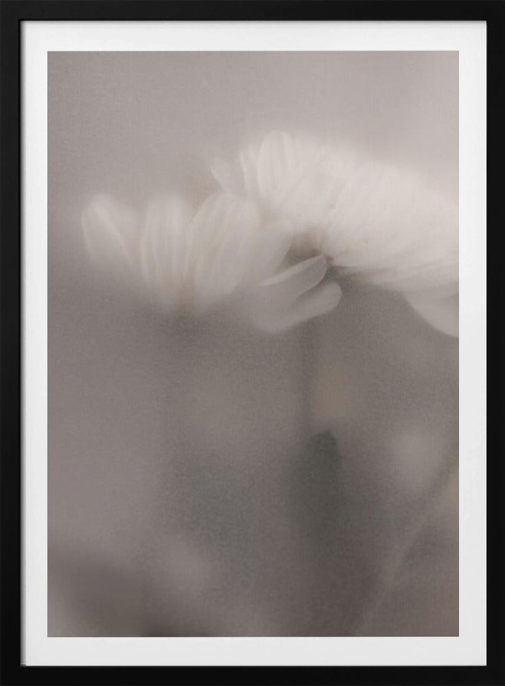 Vage bloemen 3 | Poster