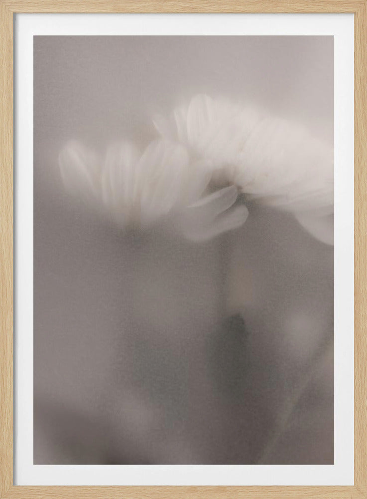 Vage bloemen 3 | Poster