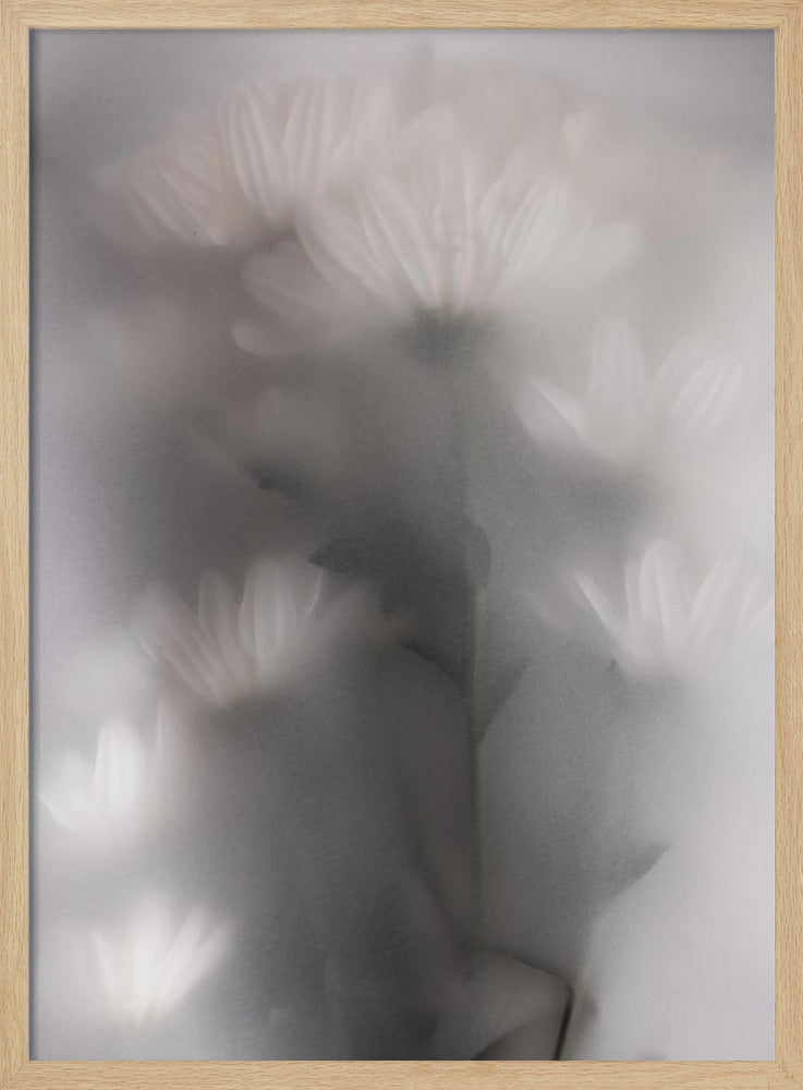 Vage bloemen 4 | Poster