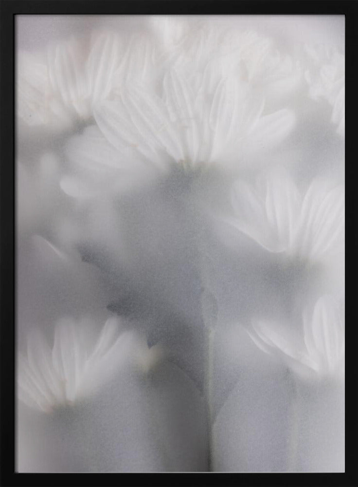 Vage bloemen 6 | Poster