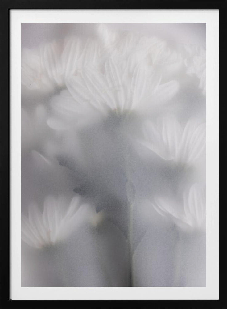 Vage bloemen 6 | Poster