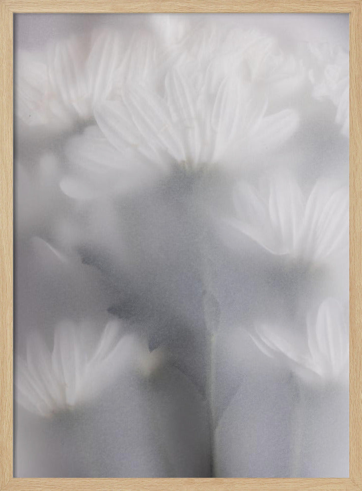 Vage bloemen 6 | Poster